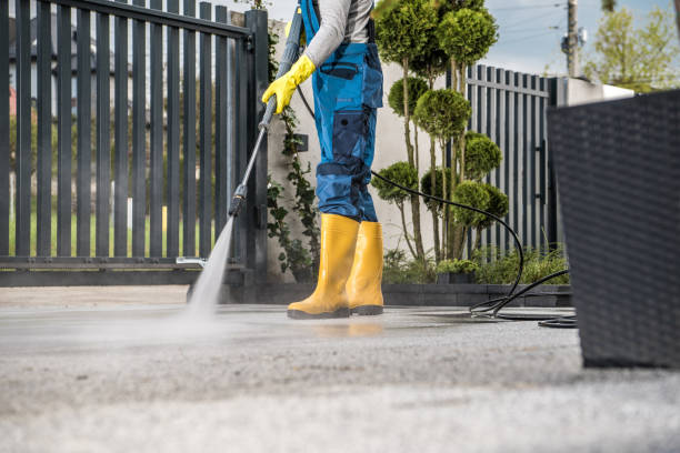 Best Patio and Deck Pressure Washing  in East Moriches, NY
